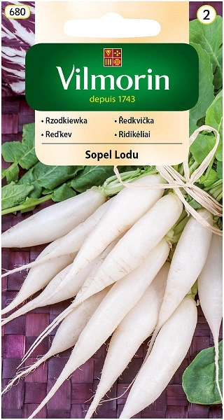 Vilmorin rzodkiewka biała sopel lodu nasiona 3 sklep rajogrodnika